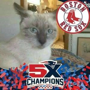 Meet your Posher, Cherie